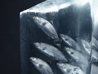 Fresh Food Guaranteed