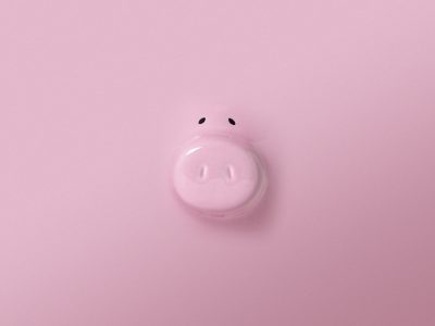 Maxi Saver "Big Pig"